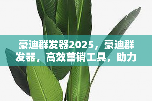 豪迪群发器2025,豪迪群发器,高效营销工具,助力企业精准触达客户 豪迪群发器2025,豪迪群发器,高效营销工具,助力企业精准触达客户