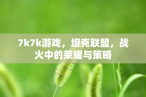 7k7k游戏,坦克联盟,战火中的荣耀与策略 7k7k游戏,坦克联盟,战火中的荣耀与策略