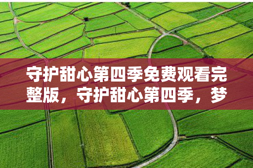 守护甜心第四季免费观看完整版,守护甜心第四季,梦想与成长的奇妙旅程 守护甜心第四季免费观看完整版,守护甜心第四季,梦想与成长的奇妙旅程