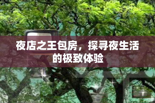 夜店之王包房，探寻夜生活的极致体验