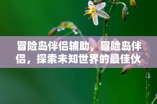 冒险岛伴侣辅助,冒险岛伴侣,探索未知世界的最佳伙伴 冒险岛伴侣辅助,冒险岛伴侣,探索未知世界的最佳伙伴
