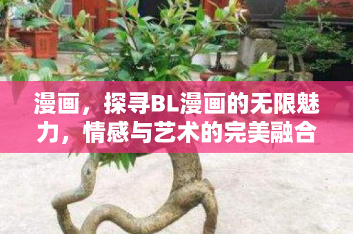 漫画,探寻BL漫画的无限魅力,情感与艺术的完美融合 漫画,探寻BL漫画的无限魅力,情感与艺术的完美融合