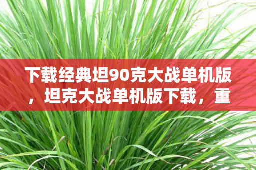 下载经典坦90克大战单机版,坦克大战单机版下载,重温经典,畅享无限战斗乐趣 下载经典坦90克大战单机版,坦克大战单机版下载,重温经典,畅享无限战斗乐趣