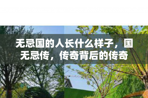 无忌国的人长什么样子,国无忌传,传奇背后的传奇 无忌国的人长什么样子,国无忌传,传奇背后的传奇