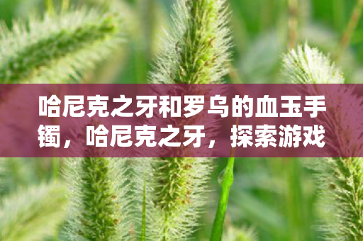 哈尼克之牙和罗乌的血玉手镯，哈尼克之牙，探索游戏世界的神秘宝藏