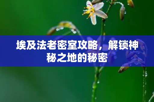 埃及法老密室攻略,解锁神秘之地的秘密 埃及法老密室攻略,解锁神秘之地的秘密
