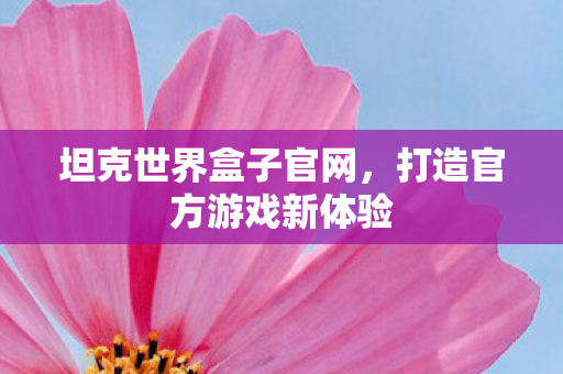 坦克世界盒子官网,打造官方游戏新体验 坦克世界盒子官网,打造官方游戏新体验