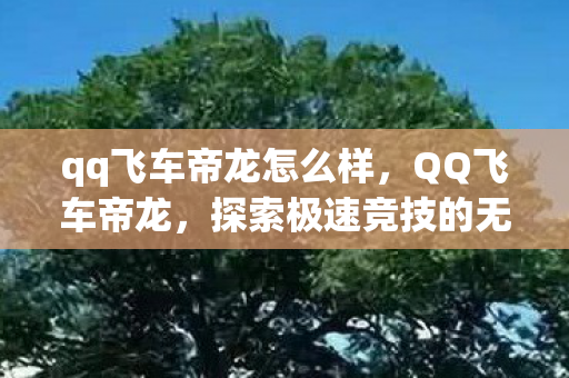 qq飞车帝龙怎么样,QQ飞车帝龙,探索极速竞技的无限可能 qq飞车帝龙怎么样,QQ飞车帝龙,探索极速竞技的无限可能