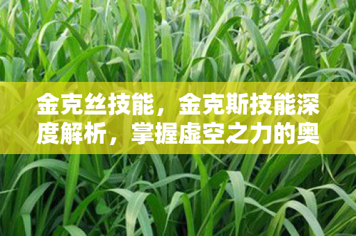 金克丝技能,金克斯技能深度解析,掌握虚空之力的奥秘 金克丝技能,金克斯技能深度解析,掌握虚空之力的奥秘