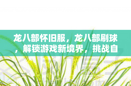 龙八部怀旧服,龙八部刷球,解锁游戏新境界,挑战自我极限 龙八部怀旧服,龙八部刷球,解锁游戏新境界,挑战自我极限