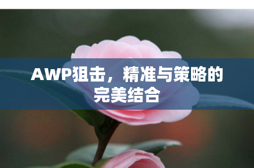 AWP狙击,精准与策略的完美结合 AWP狙击,精准与策略的完美结合