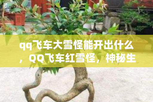 qq飞车大雪怪能开出什么,QQ飞车红雪怪,神秘生物背后的竞速激情 qq飞车大雪怪能开出什么,QQ飞车红雪怪,神秘生物背后的竞速激情