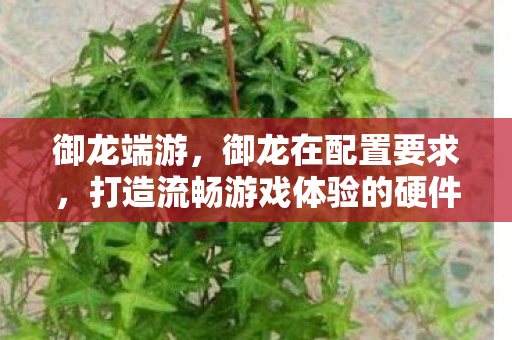 御龙端游，御龙在配置要求，打造流畅游戏体验的硬件指南