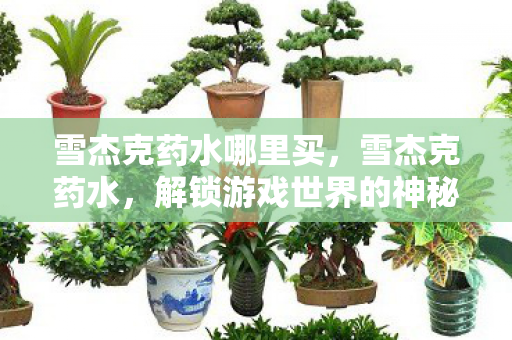 雪杰克药水哪里买，雪杰克药水，解锁游戏世界的神秘钥匙