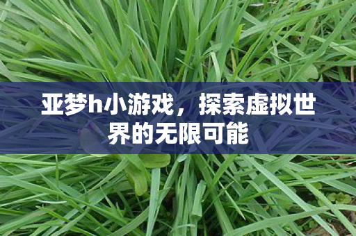亚梦h小游戏,探索虚拟世界的无限可能 亚梦h小游戏,探索虚拟世界的无限可能