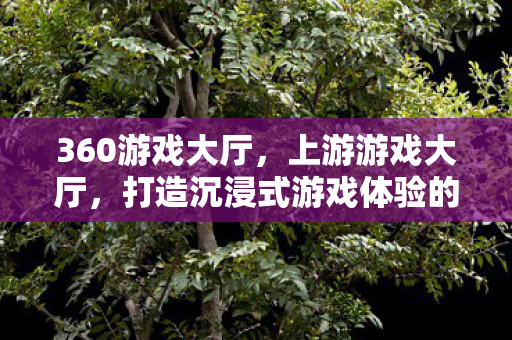 360游戏大厅，上游游戏大厅，打造沉浸式游戏体验的殿堂