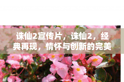 诛仙2宣传片，诛仙2，经典再现，情怀与创新的完美融合