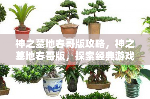 神之墓地春哥版攻略,神之墓地春哥版,探索经典游戏的独特魅力 神之墓地春哥版攻略,神之墓地春哥版,探索经典游戏的独特魅力