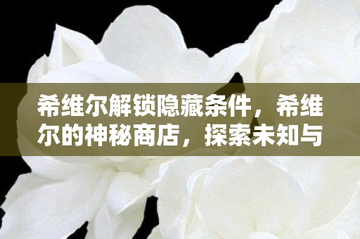 希维尔解锁隐藏条件,希维尔的神秘商店,探索未知与惊喜的奇幻之旅 希维尔解锁隐藏条件,希维尔的神秘商店,探索未知与惊喜的奇幻之旅