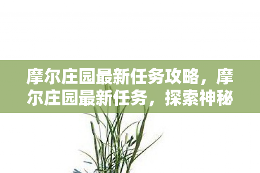摩尔庄园最新任务攻略,摩尔庄园最新任务,探索神秘遗迹,解锁全新成就 摩尔庄园最新任务攻略,摩尔庄园最新任务,探索神秘遗迹,解锁全新成就