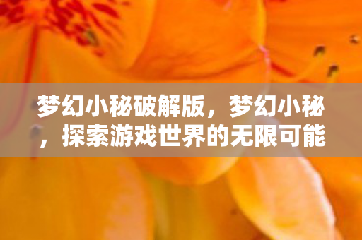 梦幻小秘破解版,梦幻小秘,探索游戏世界的无限可能 梦幻小秘破解版,梦幻小秘,探索游戏世界的无限可能