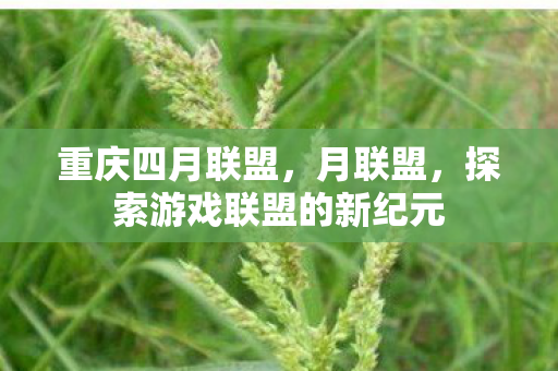 重庆四月联盟,月联盟,探索游戏联盟的新纪元 重庆四月联盟,月联盟,探索游戏联盟的新纪元