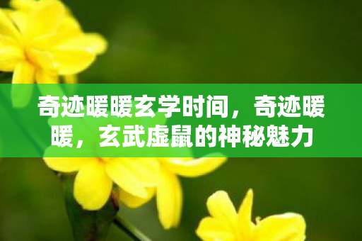 奇迹暖暖玄学时间,奇迹暖暖,玄武虚鼠的神秘魅力 奇迹暖暖玄学时间,奇迹暖暖,玄武虚鼠的神秘魅力
