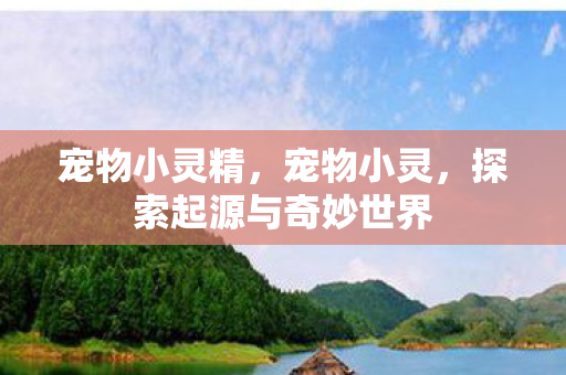 宠物小灵精，宠物小灵，探索起源与奇妙世界