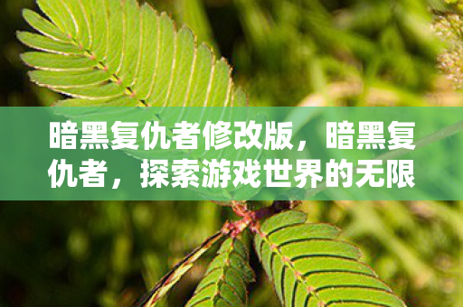 暗黑复仇者修改版，暗黑复仇者，探索游戏世界的无限可能