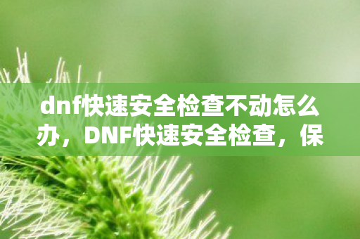 dnf快速安全检查不动怎么办,DNF快速安全检查,保障账号安全,远离盗号风险 dnf快速安全检查不动怎么办,DNF快速安全检查,保障账号安全,远离盗号风险