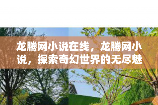龙腾网小说在线,龙腾网小说,探索奇幻世界的无尽魅力 龙腾网小说在线,龙腾网小说,探索奇幻世界的无尽魅力