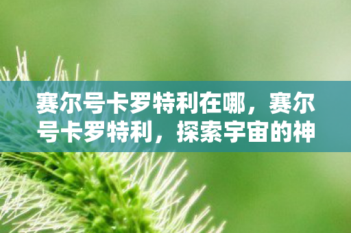 赛尔号卡罗特利在哪，赛尔号卡罗特利，探索宇宙的神秘之旅