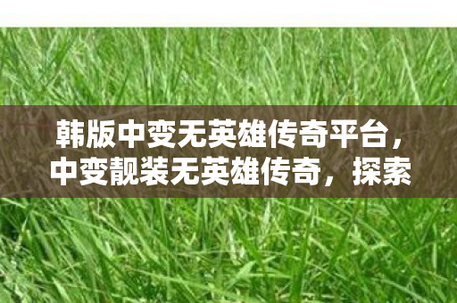 韩版中变无英雄传奇平台，中变靓装无英雄传奇，探索未知世界的奇妙之旅