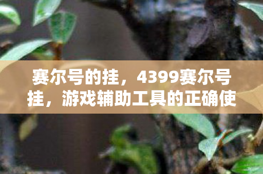赛尔号的挂,4399赛尔号挂,游戏辅助工具的正确使用与注意事项 赛尔号的挂,4399赛尔号挂,游戏辅助工具的正确使用与注意事项