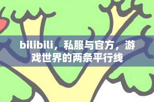 bilibili,私服与官方,游戏世界的两条平行线 bilibili,私服与官方,游戏世界的两条平行线