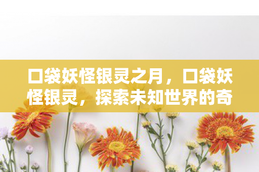 口袋妖怪银灵之月,口袋妖怪银灵,探索未知世界的奇妙旅程 口袋妖怪银灵之月,口袋妖怪银灵,探索未知世界的奇妙旅程