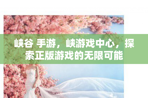 峡谷 手游，峡游戏中心，探索正版游戏的无限可能