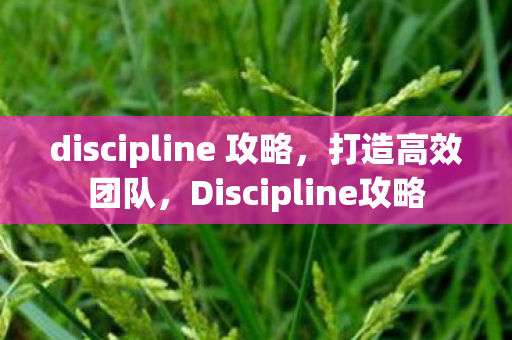 discipline 攻略,打造高效团队,Discipline攻略 discipline 攻略,打造高效团队,Discipline攻略