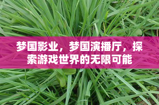 梦国影业,梦国演播厅,探索游戏世界的无限可能 梦国影业,梦国演播厅,探索游戏世界的无限可能
