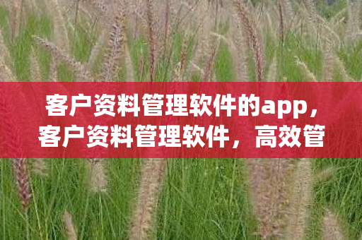 客户资料管理软件的app，客户资料管理软件，高效管理，提升客户服务体验