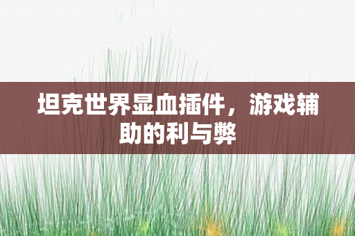 坦克世界显血插件,游戏辅助的利与弊 坦克世界显血插件,游戏辅助的利与弊