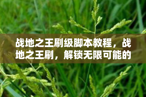 战地之王刷级脚本教程，战地之王刷，解锁无限可能的战场新体验