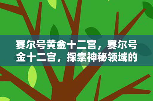 赛尔号黄金十二宫,赛尔号金十二宫,探索神秘领域的奇妙之旅 赛尔号黄金十二宫,赛尔号金十二宫,探索神秘领域的奇妙之旅