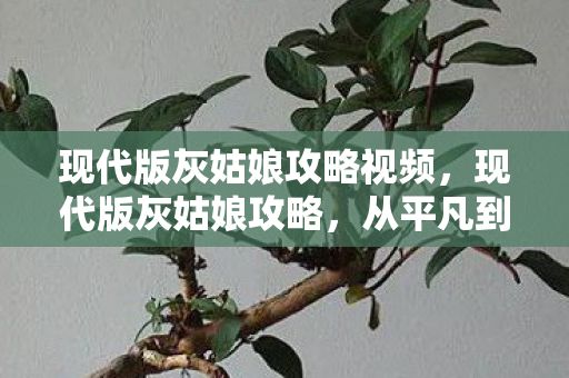 现代版灰姑娘攻略视频,现代版灰姑娘攻略,从平凡到闪耀的蜕变指南 现代版灰姑娘攻略视频,现代版灰姑娘攻略,从平凡到闪耀的蜕变指南