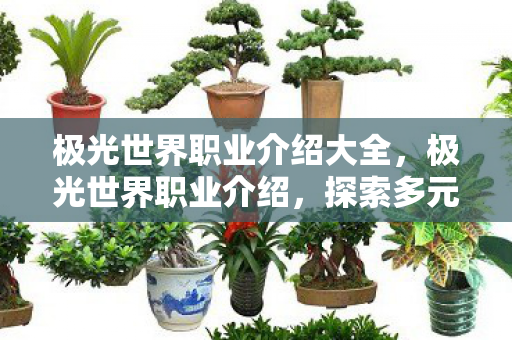极光世界职业介绍大全,极光世界职业介绍,探索多元角色,体验奇幻冒险 极光世界职业介绍大全,极光世界职业介绍,探索多元角色,体验奇幻冒险