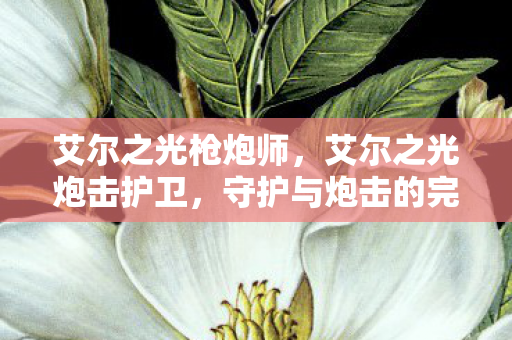 艾尔之光枪炮师，艾尔之光炮击护卫，守护与炮击的完美结合