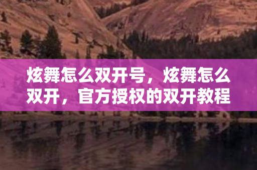 炫舞怎么双开号，炫舞怎么双开，官方授权的双开教程