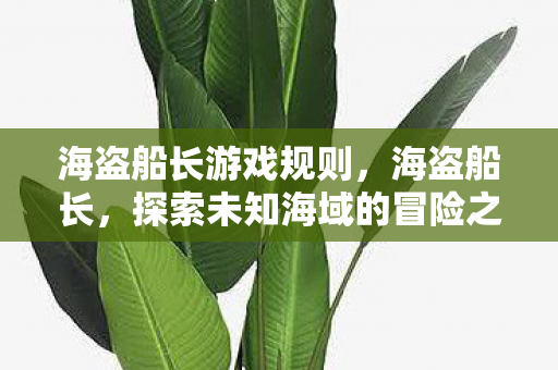 海盗船长游戏规则，海盗船长，探索未知海域的冒险之旅