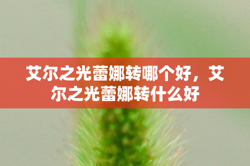 艾尔之光蕾娜转哪个好，艾尔之光蕾娜转什么好