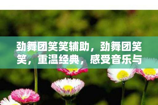 劲舞团笑笑辅助,劲舞团笑笑,重温经典,感受音乐与舞蹈的魔力 劲舞团笑笑辅助,劲舞团笑笑,重温经典,感受音乐与舞蹈的魔力